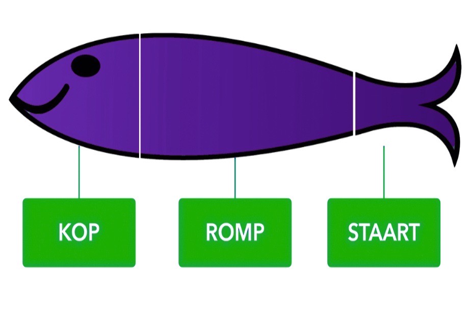 Het Kop-Romp-Staart-model