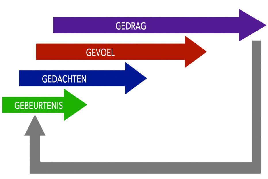 Rationele Effectiviteit Training